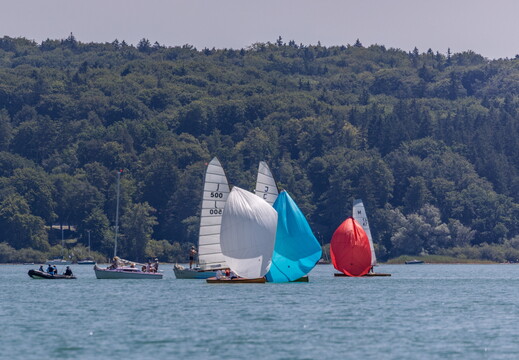 1Y1A5093  1