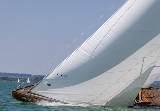 1Y1A5260  1