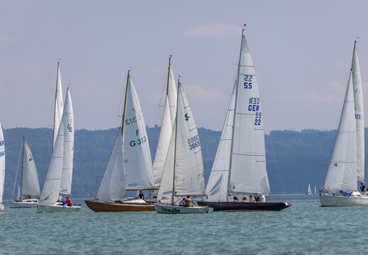 1Y1A5343  1
