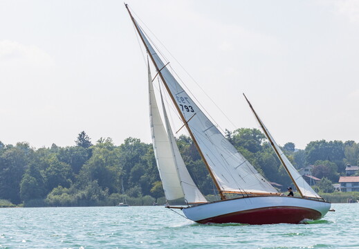1Y1A5482  1